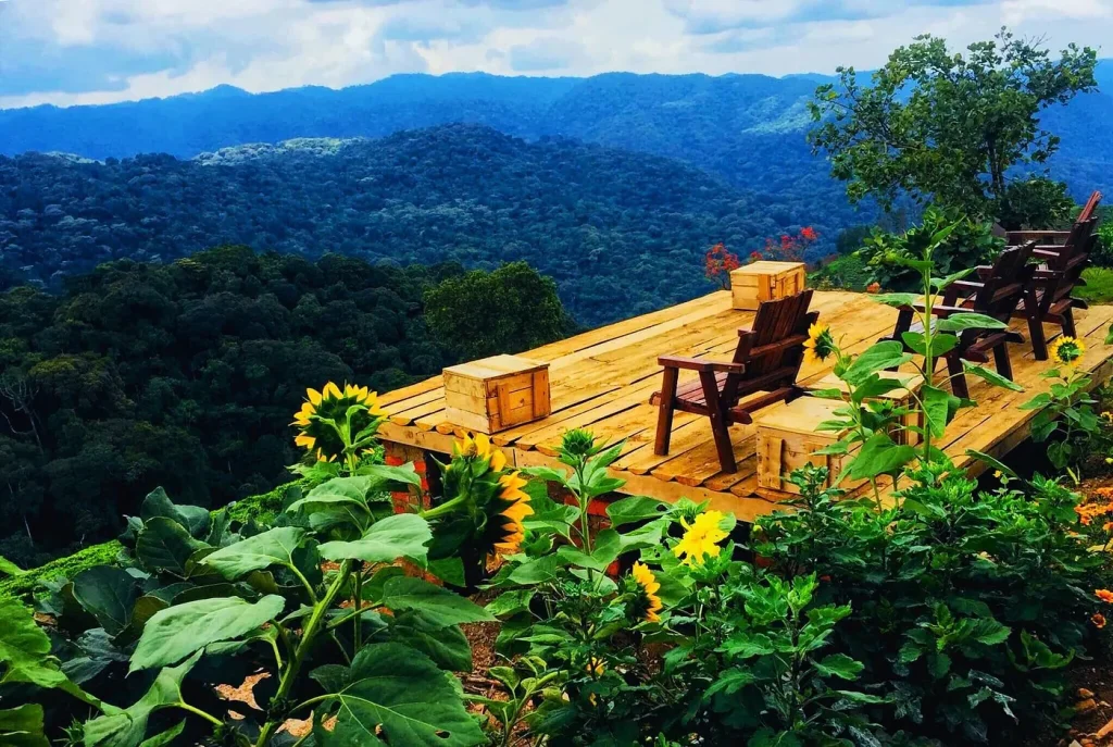 Vue panoramique sur la forêt de Bwindi depuis Buhoma