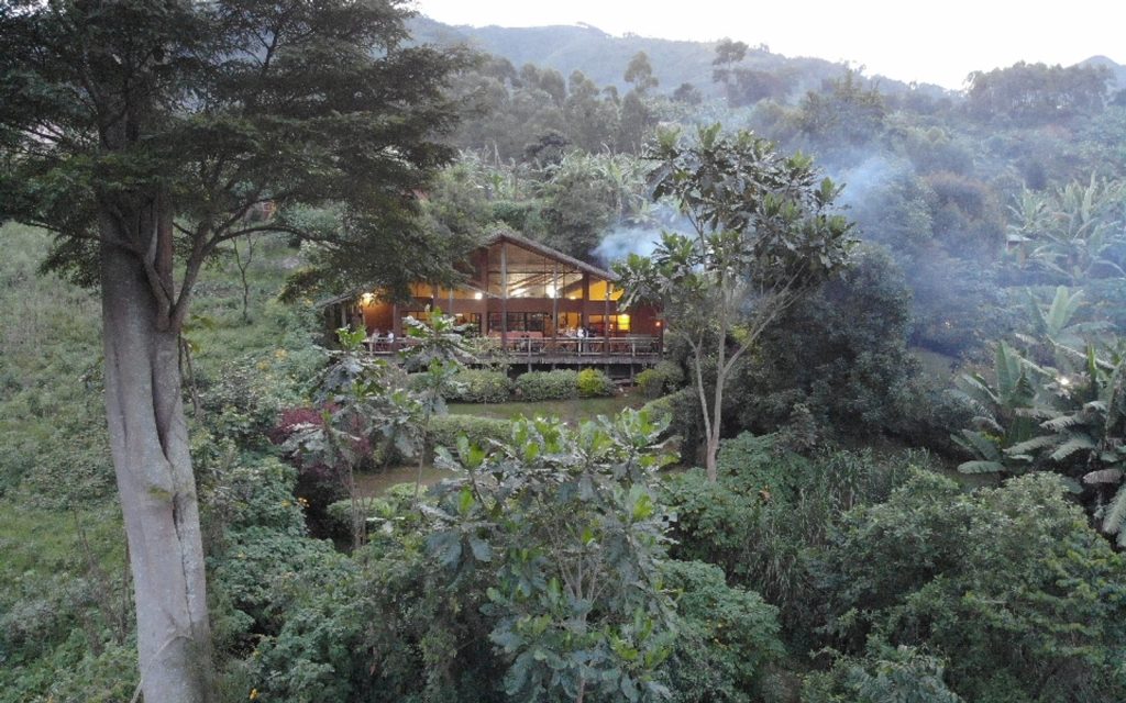 Mahogany Springs Lodge entouré par la forêt de Bwindi à Buhoma